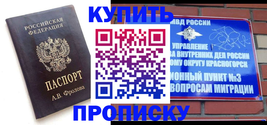 прописка поиск в Шуе